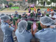 Festa da Uva em Caxias do Sul prepara 'Saguzaço' gigante com 300 litros de vinho