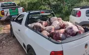 Fiscalização apreende 800 kg de carne de abate clandestino em fazenda de Campo Belo, MG