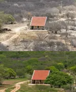 Fotos revelam transformação do sertão potiguar após chuvas, mas reservatórios seguem críticos