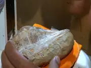 Fósseis raros repatriados da Europa e Argentina chegam ao Cariri, no Ceará