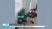 Funcionário da limpeza é atacado por pit bull no Ver-o-Peso, em Belém