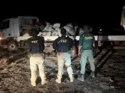 Garimpeiro preso com 1 tonelada de ouro e cianeto próximo à Terra Indígena Raposa Serra do Sol em Roraima