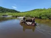 Guarujá lidera retirada de lixo em manguezais com programa que remunera pescadores