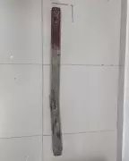 Homem é morto a pauladas em disputa por casa ocupada em Caraguatatuba