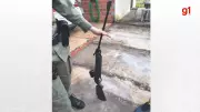 Homem é preso por atirar em cachorro do vizinho na zona rural de Teresina