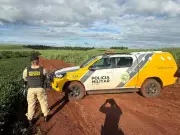 Homem esfaqueia ex-companheira grávida e foge com criança de 8 anos no Paraná