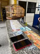 Homem é preso com mil pedras de crack e pássaros silvestres em Quatis, RJ