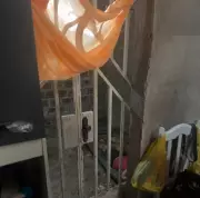 Idoso é preso por manter filho com deficiência intelectual em cárcere privado em Alagoas