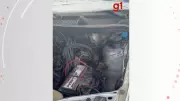 Jiboia é resgatada de dentro do motor de carro em Governador Valadares, MG