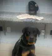 Jovem de 25 anos é preso com R$ 600 em notas falsas no Centro de Boa Vista