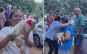 Lavradora de Goiás recebe 'chá de galinha' solidário após ataque canino ao galinheiro