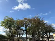 Meteorologista afirma que chuvas de fevereiro foram 'atípicas' e não ocorriam há 40 anos em Juiz de Fora