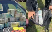 Motorista flagrado com R$ 1 milhão em bolsas em Catalão: polícia apreende valor e investiga origem