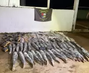 Motorista é preso em Cuiabá com mais de 300 kg de pescado ilegal apreendido