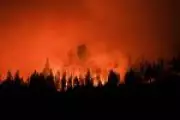 Mudança climática triplica risco de incêndios florestais no Chile e Argentina, alerta estudo