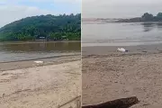 Mulher de 60 anos é encontrada morta em praia de Itanhaém, SP, em caso suspeito