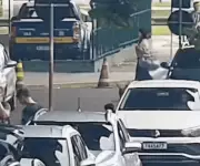 Mulher é indiciada por maus-tratos após abandonar cadela em rodoviária de Florianópolis