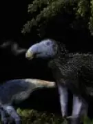 Nova espécie de dinossauro com espinhos ocos é descoberta na China após 125 milhões de anos