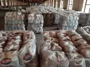 ONG Ação da Cidadania mobiliza doações para vítimas das chuvas em Minas Gerais