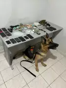 Operação Cerco Familiar em Bodocó apreende armas, drogas e veículos após tentativa de homicídio