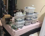 Operação Hidra prende 10 suspeitos de tráfico interestadual de drogas em Cuiabá e Brasília