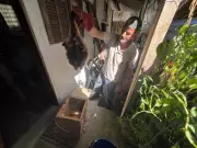 Ouriço-cacheiro resgatado em telhado é devolvido à natureza no Parque Estadual da Pedra Selada