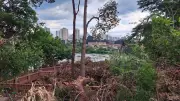 Parque do Mirante em Piracicaba pode levar 20 anos para recuperar cobertura arbórea após temporal
