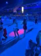 Penetras invadem pista da Sapucaí para selfies durante desfiles do Carnaval