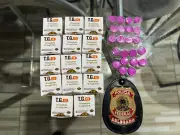 PF investiga estudante de Medicina por venda ilegal de canetas emagrecedoras na internet