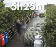 Polícia de SC detalha contradições e provas que apontaram suspeito de agredir cão Orelha