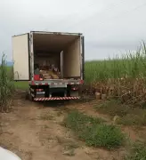 Polícia recupera caminhão e carga de laticínios roubados em Campos dos Goytacazes