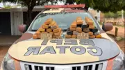 Policial, esposa e mulher presos por transportar 34,8 kg de maconha no Ceará