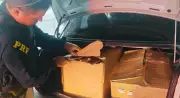 PRF apreende 1,6 mil maços de cigarros contrabandeados em Parnamirim, RN