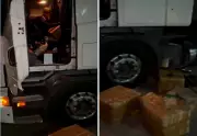 PRF apreende 700 quilos de drogas em caminhão na BR-153, em Araguaína, Tocantins