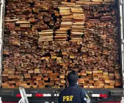 PRF apreende mais de 337 m³ de madeira ilegal no Sertão de Pernambuco em operação ambiental