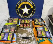 Receita apreende haxixe de R$ 300 mil em encomenda de SP para São Luís