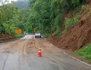 Árvore cai e interdita totalmente a pista na Serra das Araras, na Via Dutra