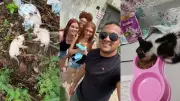 Sete filhotes de gatos abandonados no lixo e na chuva são resgatados e adotados em Teresina
