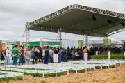 Show Tecnológico Verão 2026 reúne inovação e especialistas do agronegócio em Ponta Grossa