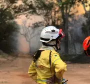 São Paulo abre 243 vagas para brigadistas temporários no combate a incêndios florestais