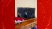 Suspeito quebra TV, agride companheira e ameaça matá-la com faca em Macapá