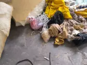 Tentativa de fuga de 10 detentos é frustrada em presídio do Acre