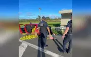 Trio é preso após furtar meia tonelada de laranjas e fugir em perseguição em Itapetininga