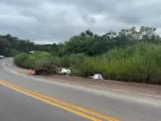 Três mortos em colisão frontal entre carro e caminhão na BR-381 em Santa Luzia