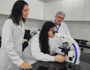 Uema aprimora diagnóstico da leishmaniose canina com estudo comparativo de testes