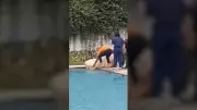 Vaca cai em piscina de academia de polícia no Ceará e é resgatada por PMs