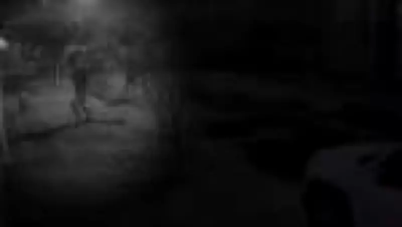 Justiça do RJ decreta internação de adolescentes por agressão brutal a capivara