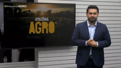 Agronegócio na Amazônia: Desafios e Oportunidades para o Desenvolvimento Sustentável