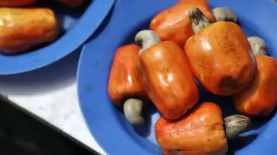 Alicia Silverstone quase ingere fruta venenosa em Londres; conheça os perigos ocultos