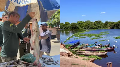 Apreensão de pescado no Piauí cresce 40% durante período da Piracema